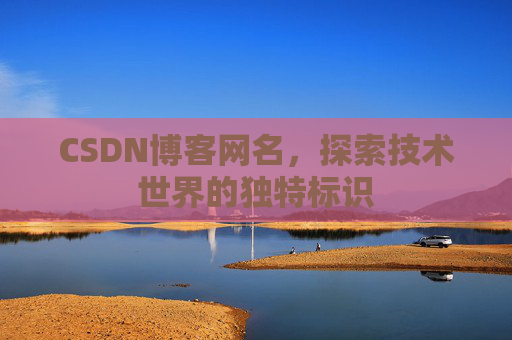 CSDN博客网名，探索技术世界的独特标识